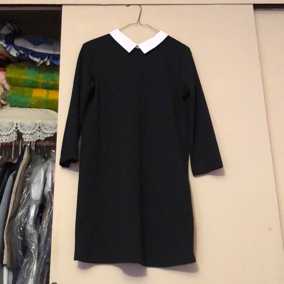 ZARA Collared Dress in Black - Picture 2 of 3